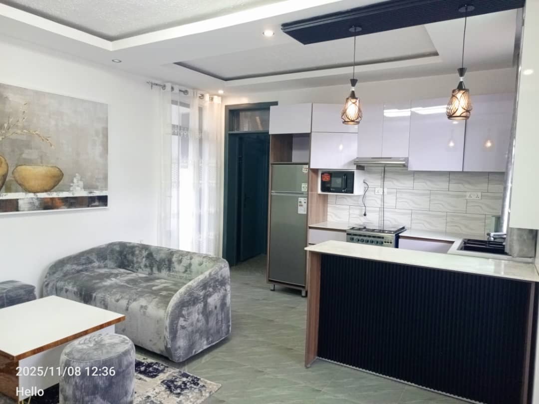 Full furniture Apartment for rent at Gisozi