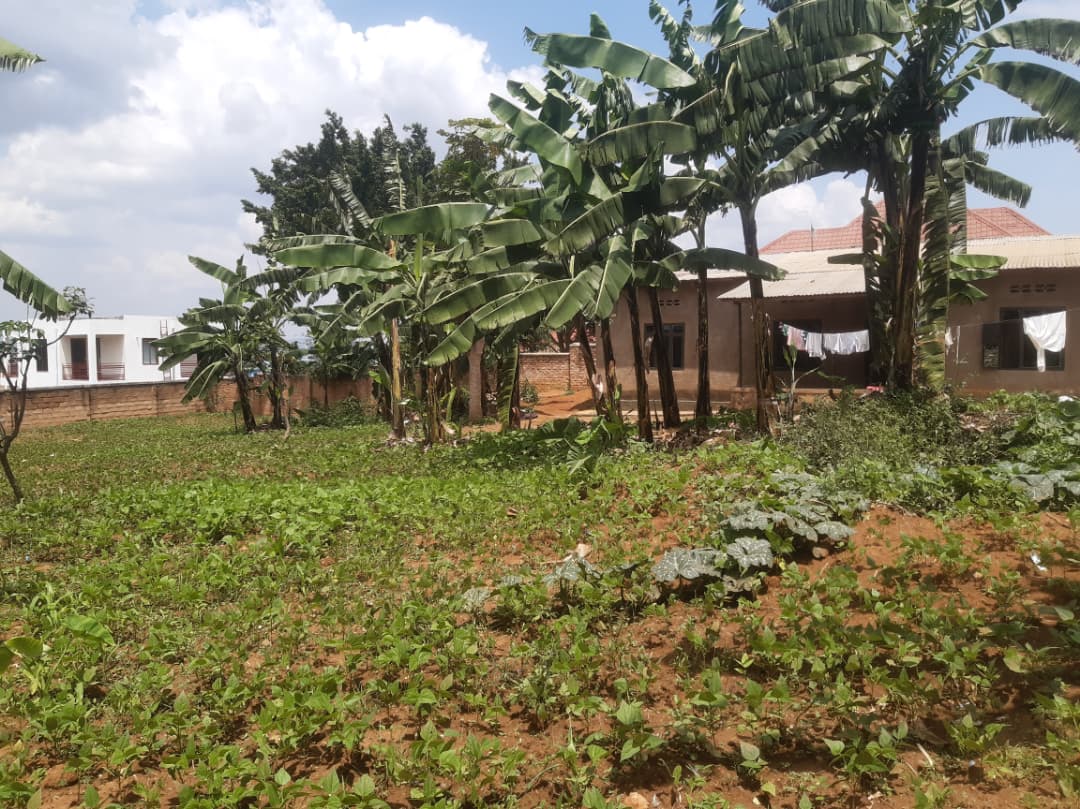 IKIBANZA MU MITURIRE