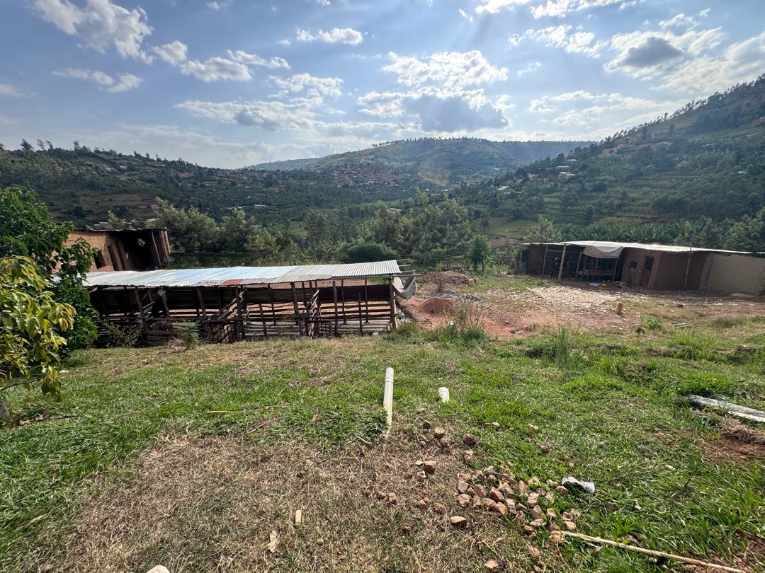 Farm with houses for sale