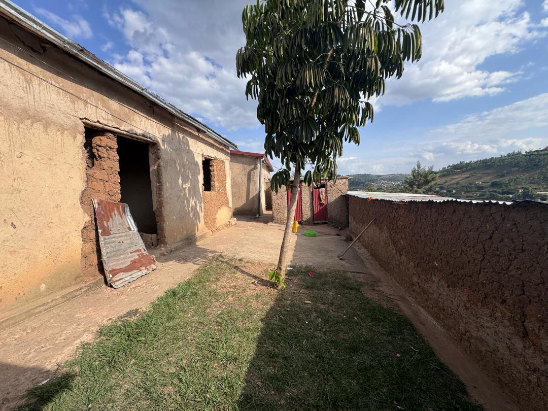 Farm with houses for sale